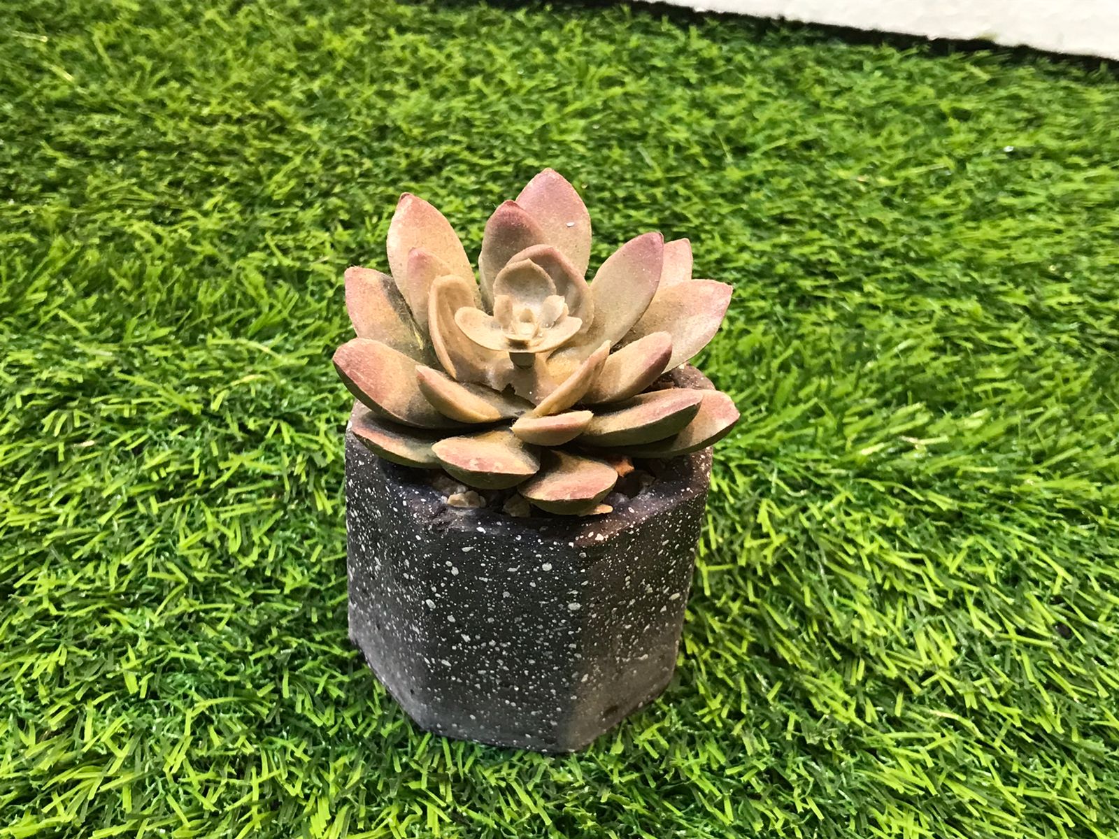 Mini Flower Pot Just eStore ( Formerly Just Ikea )