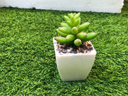 Artificial Mini Cactus Plant Decoration In Pakistan Just e-Store