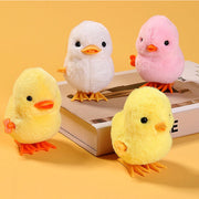 Chick Jumping Chicken For Kids In Pakistan Just e-Store