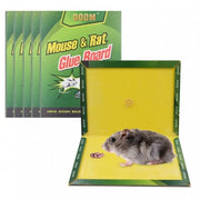 Mouse Glue Traps Expert Catch ( Pack Of 3 ) In Pakistan Just e-Store