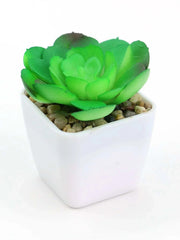 Mini Green Plant Pot Decoration In Pakistan Just e-Store